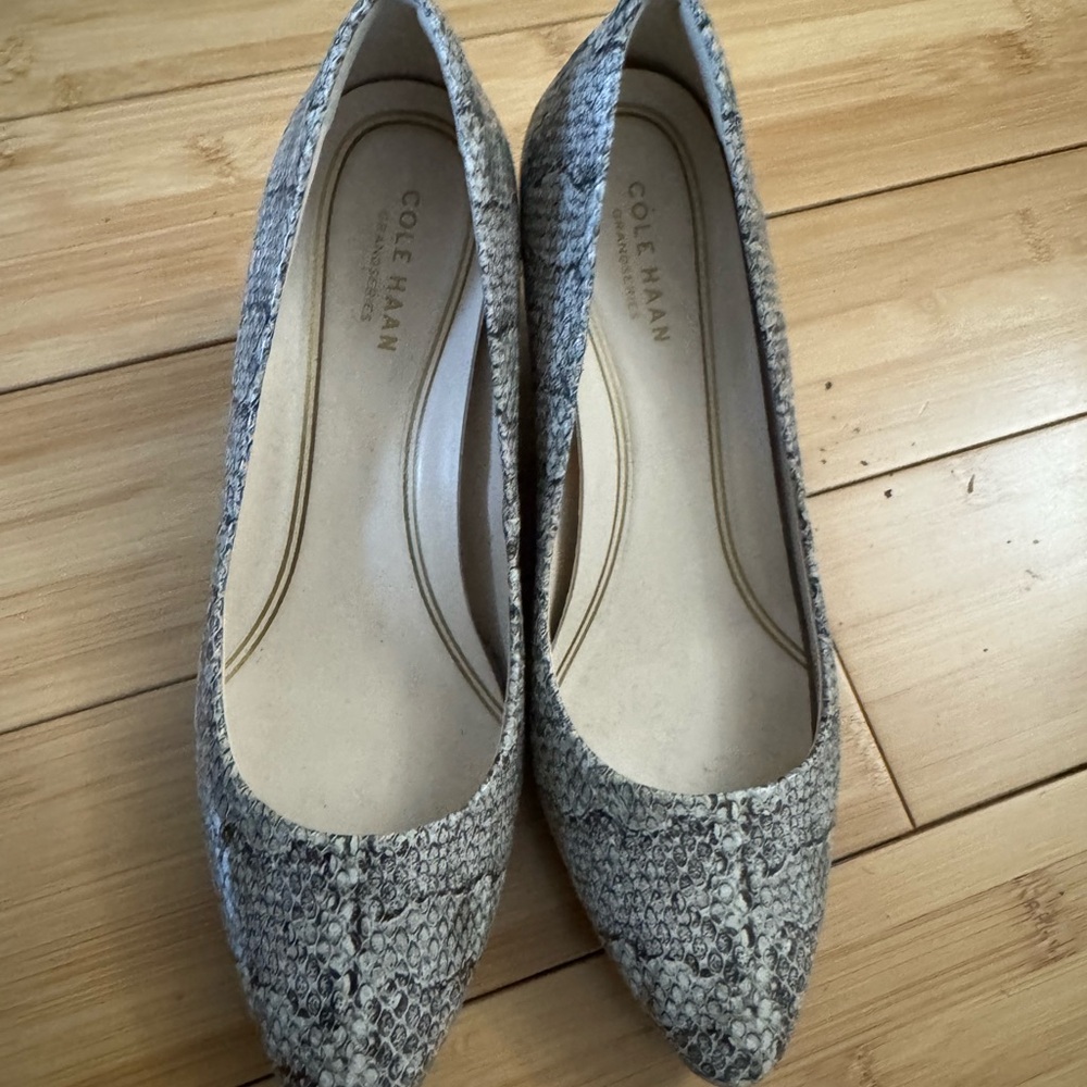 Cole Haan Wedge with Pointed Toe